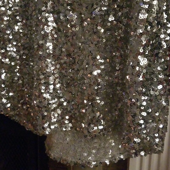 🎁Silver Sequin Top🎁 - Picture 6 of 8